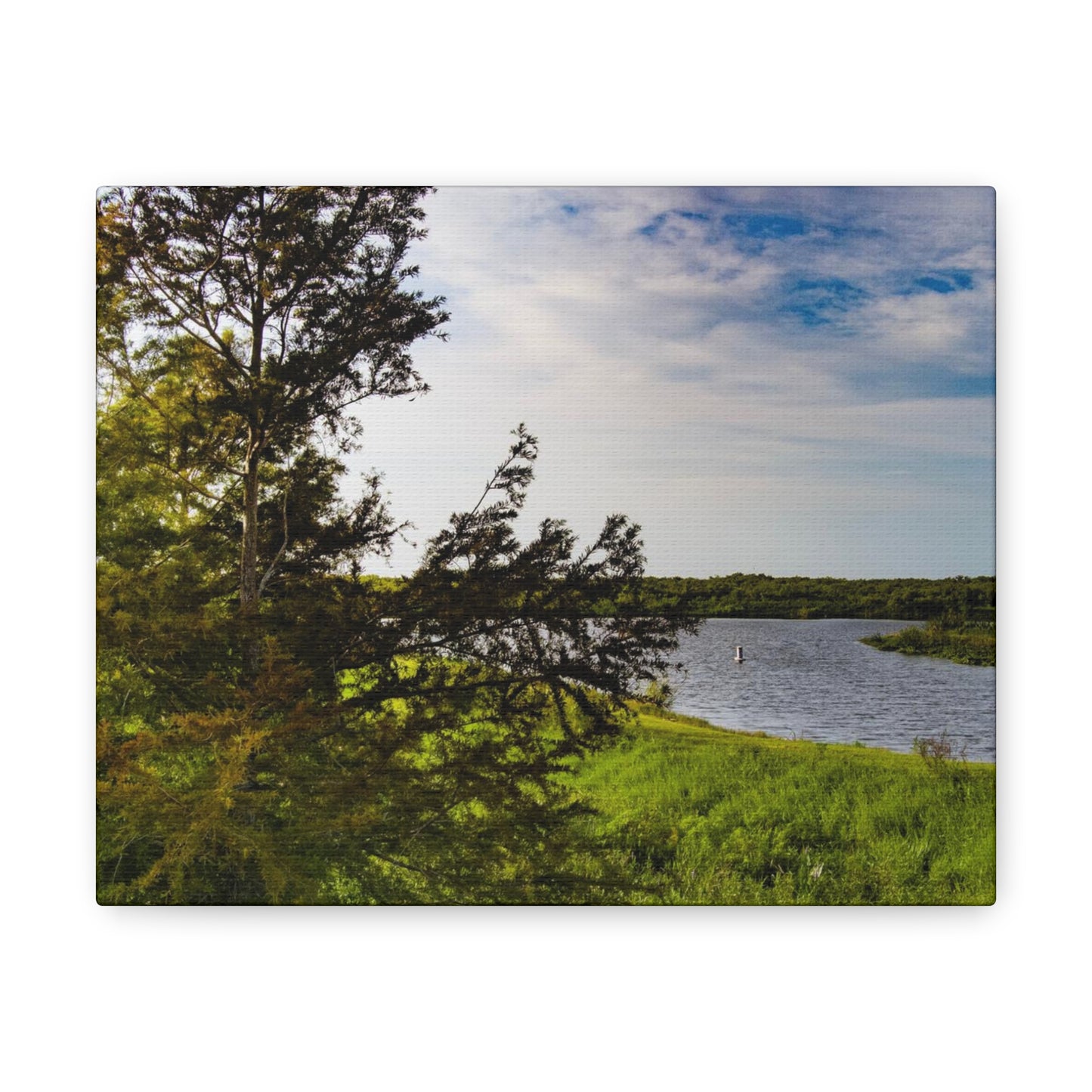 Aerial Photograph Lake Okeechobee