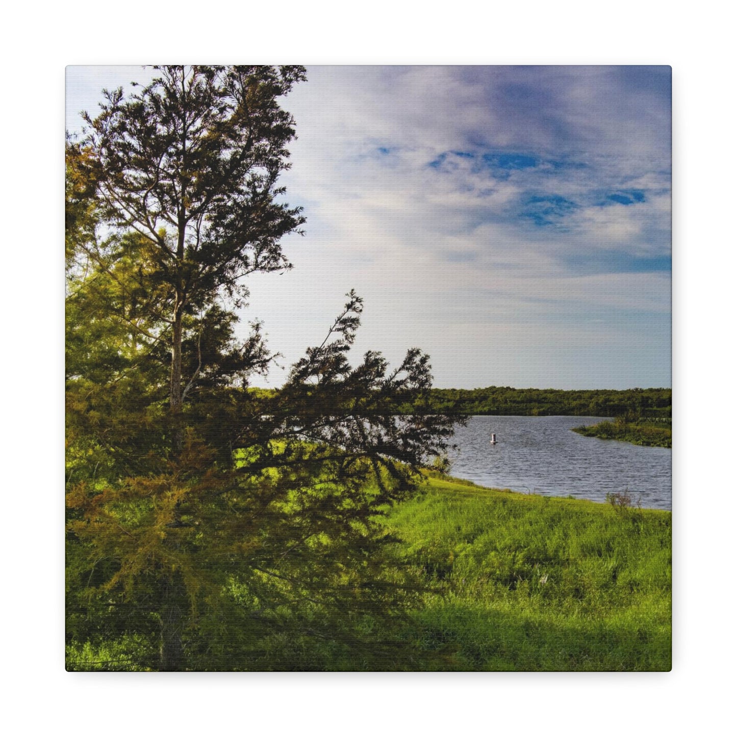 Aerial Photograph Lake Okeechobee