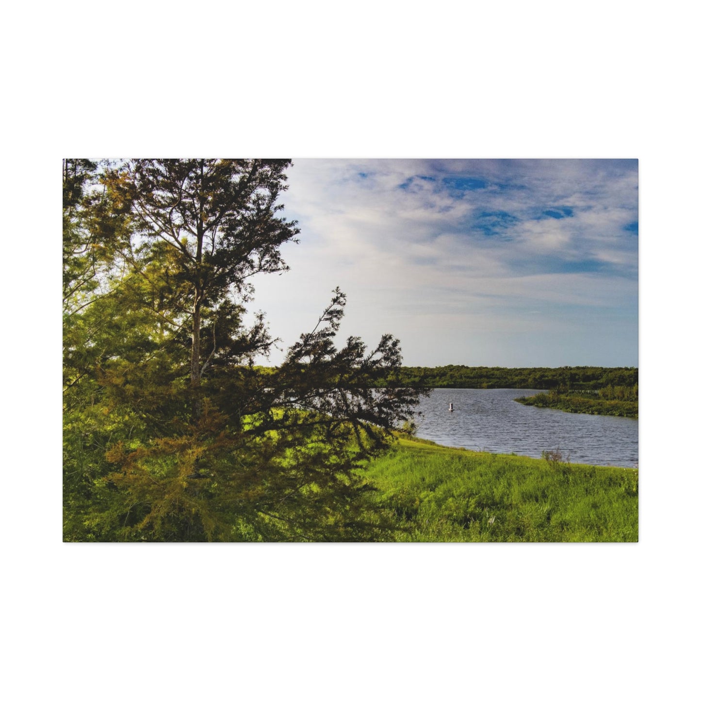 Aerial Photograph Lake Okeechobee