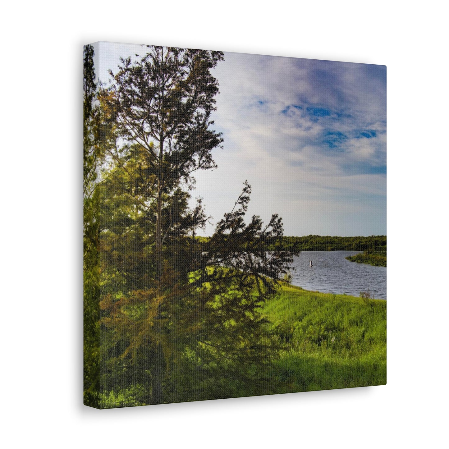 Aerial Photograph Lake Okeechobee