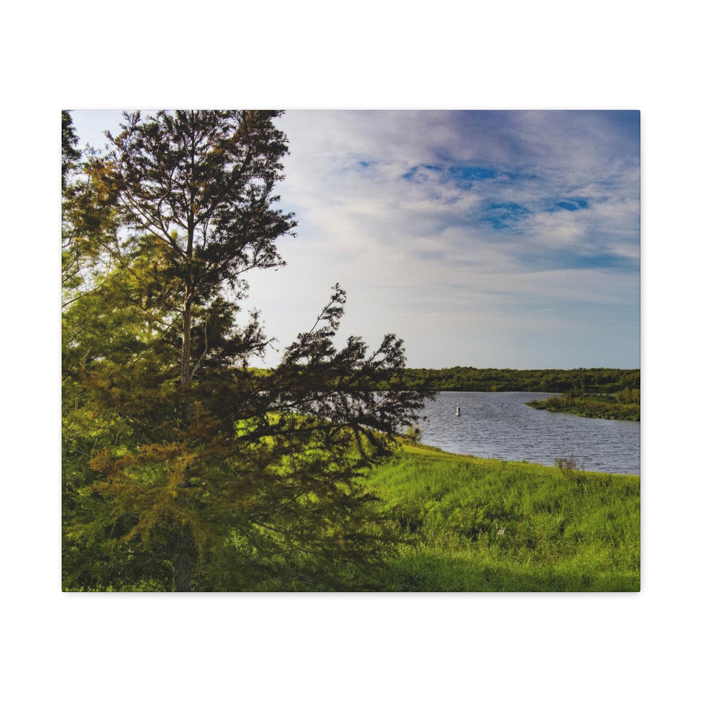 Aerial Photograph Lake Okeechobee