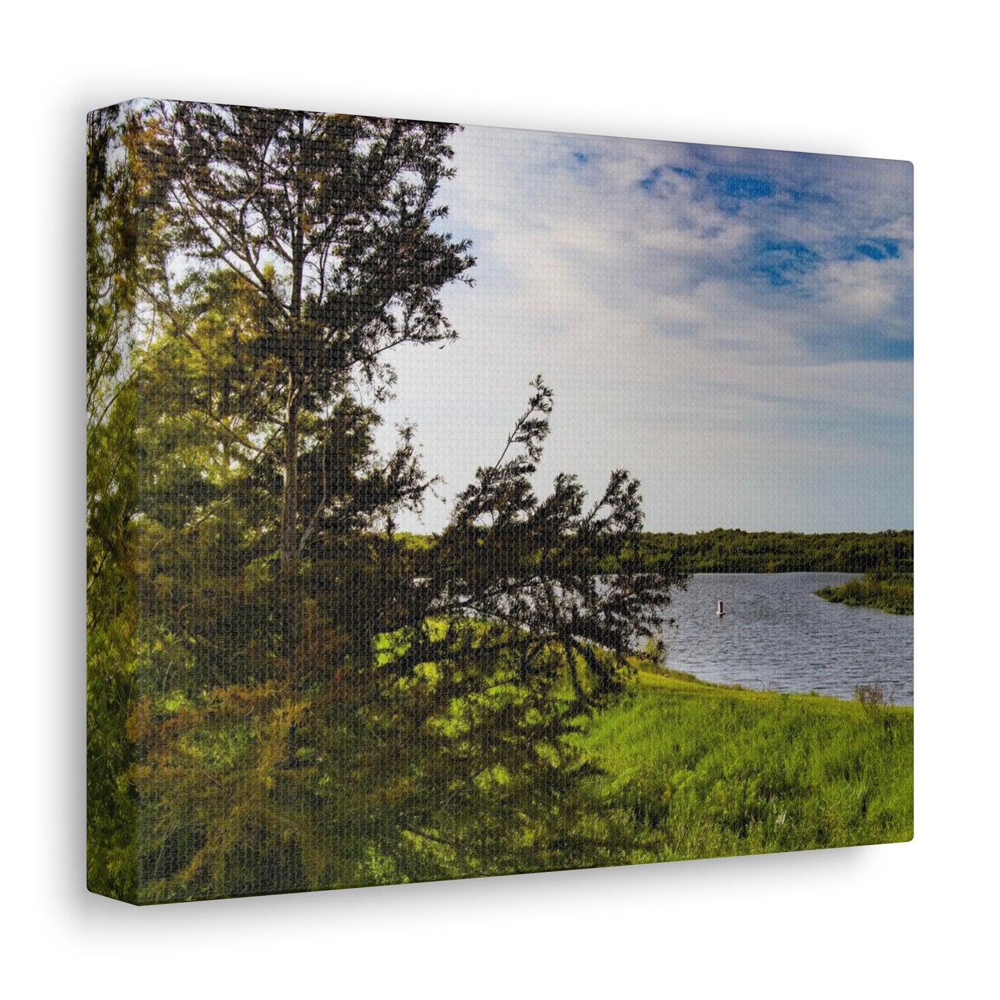 Aerial Photograph Lake Okeechobee