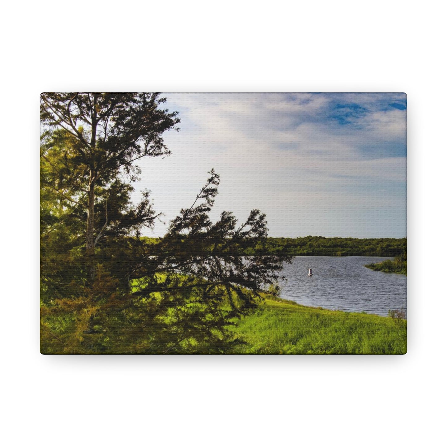 Aerial Photograph Lake Okeechobee