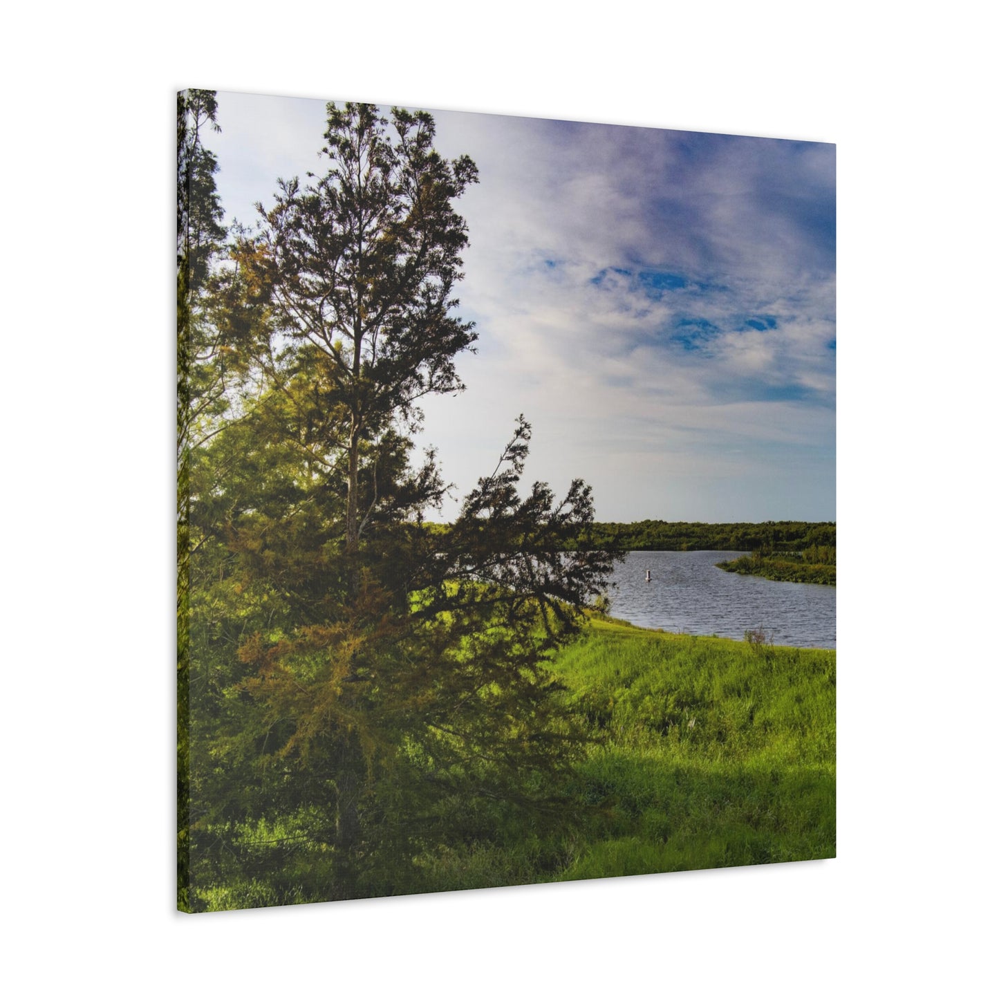 Aerial Photograph Lake Okeechobee