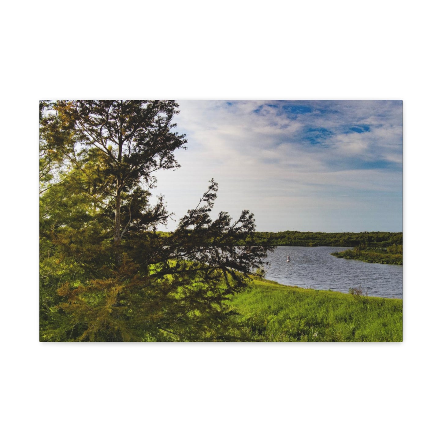 Aerial Photograph Lake Okeechobee