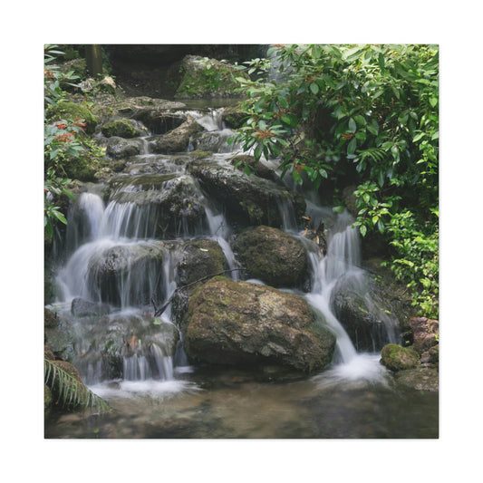 Waterfall Over the Rocks