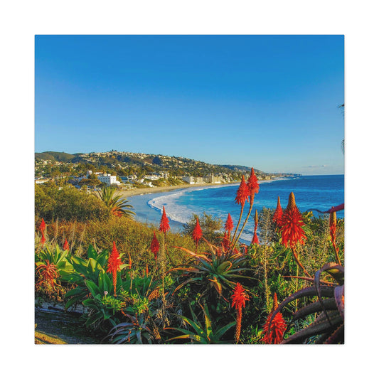 Lauguna Beach Afternoon