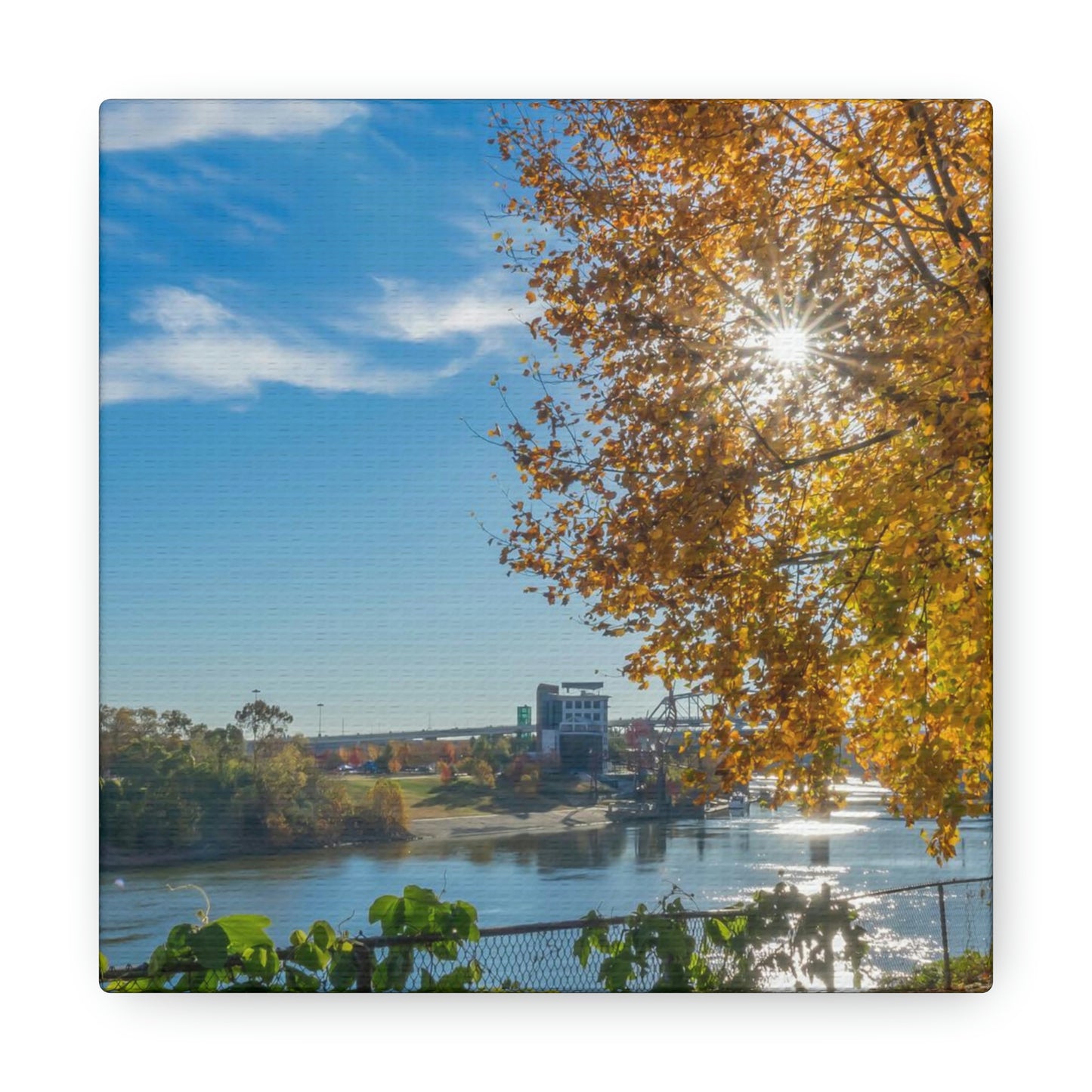 Cumberland River Autumn