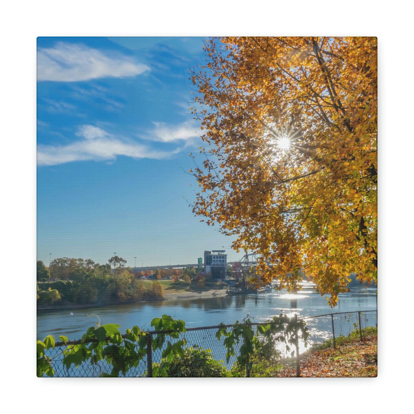 Cumberland River Autumn