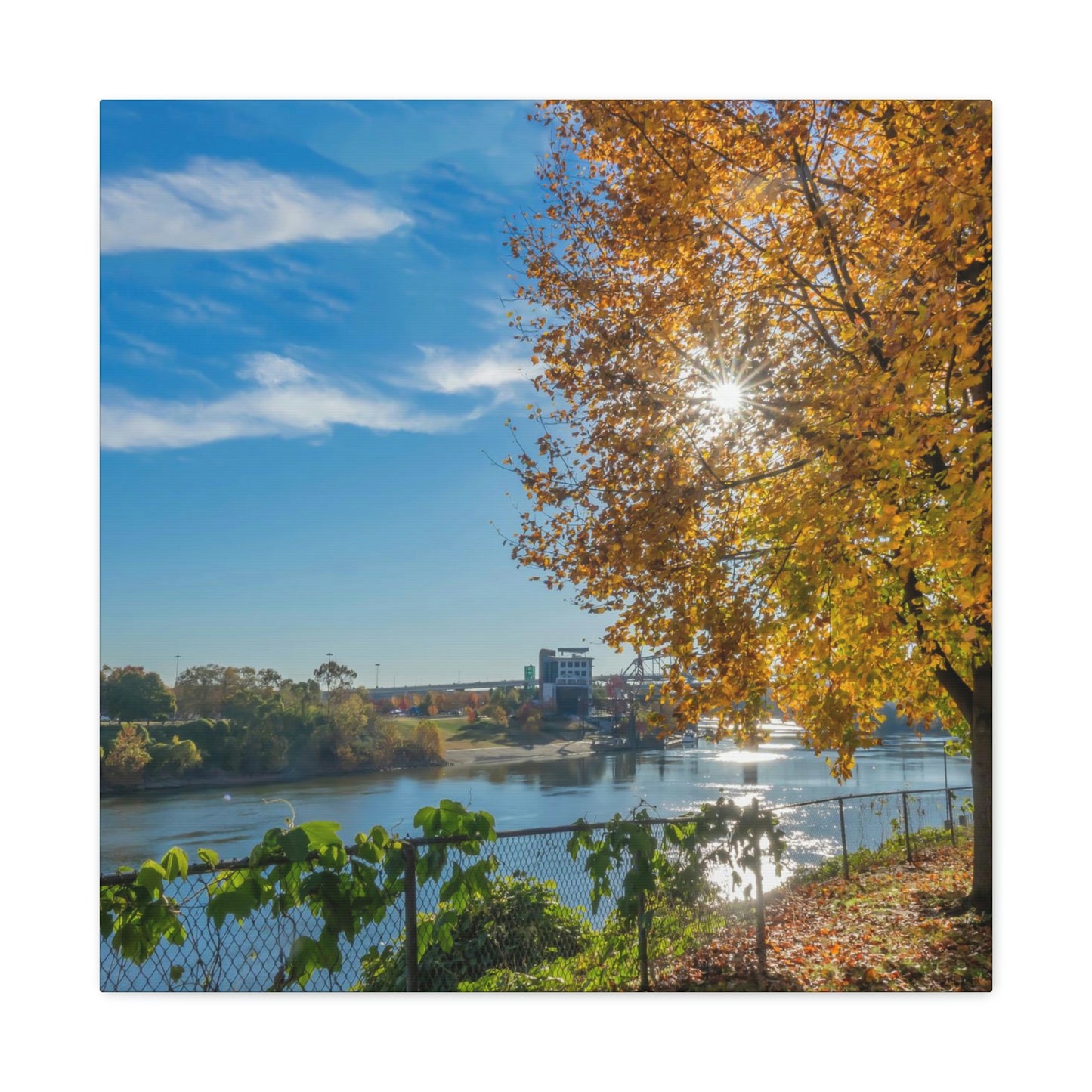 Cumberland River Autumn