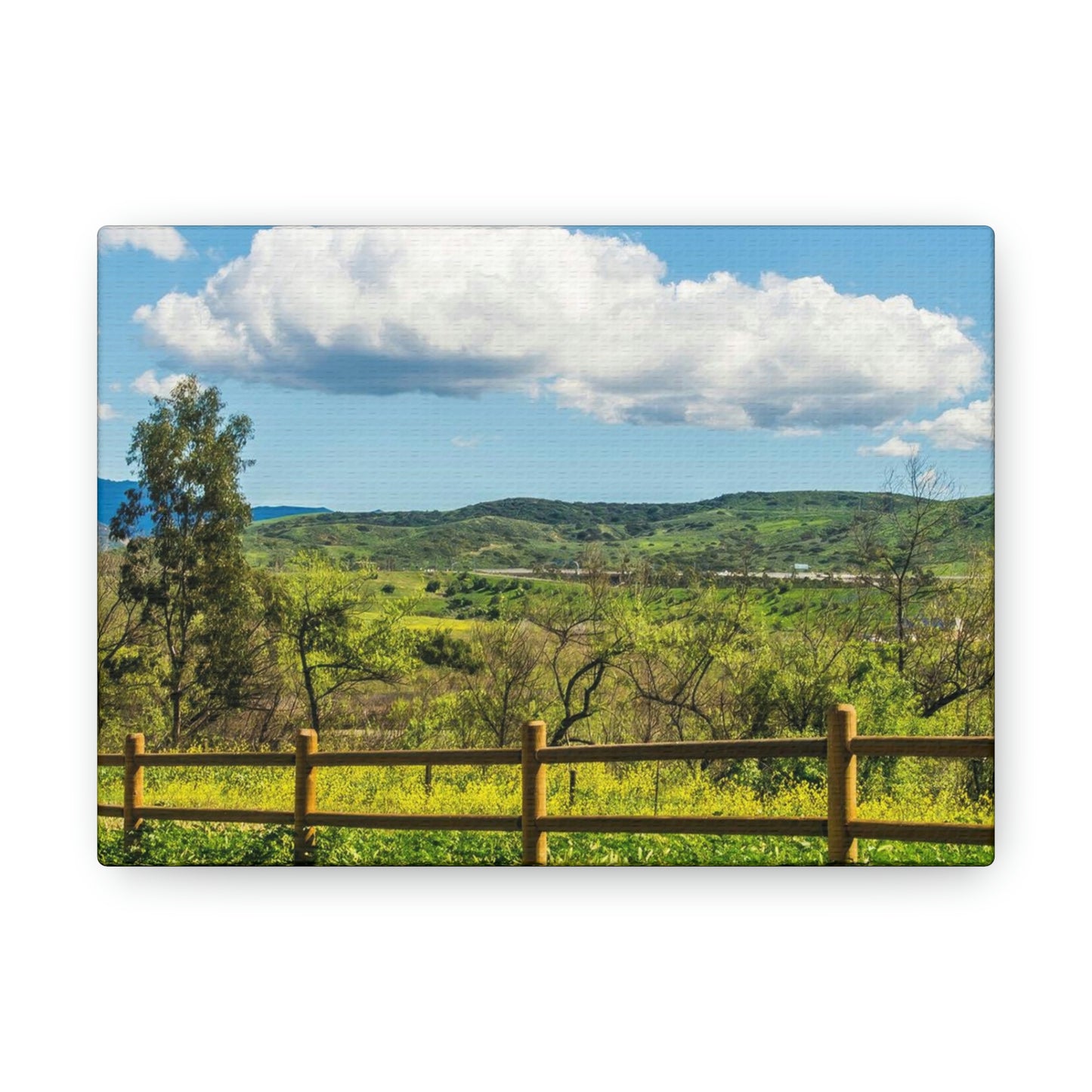 Country Path